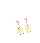 ぴよぴよライフ（個別スタンプ：12）