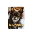ショコラ+ルナ・ポン（個別スタンプ：9）