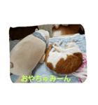 ショコラ+ルナ・ポン（個別スタンプ：14）
