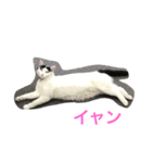 モリタ リン2（個別スタンプ：1）