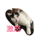 モリタ リン2（個別スタンプ：2）
