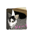 モリタ リン2（個別スタンプ：3）