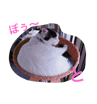 モリタ リン2（個別スタンプ：4）
