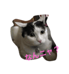 モリタ リン2（個別スタンプ：5）