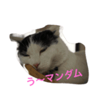 モリタ リン2（個別スタンプ：9）