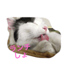 モリタ リン2（個別スタンプ：11）