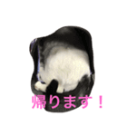 モリタ リン2（個別スタンプ：12）