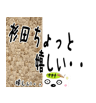 ★杉田さんの名前スタンプ★（個別スタンプ：1）