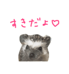 ハリネズミのスティンキー（個別スタンプ：3）