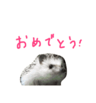 ハリネズミのスティンキー（個別スタンプ：13）