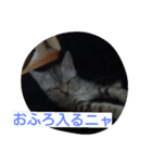 子猫のラルくん（個別スタンプ：6）