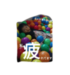 WAKA.（個別スタンプ：8）
