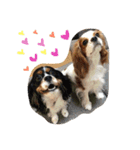 bb__love2（個別スタンプ：2）