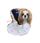 bb__love2（個別スタンプ：7）