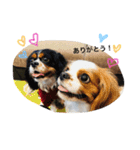bb__love2（個別スタンプ：8）
