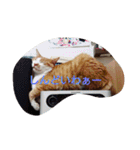 表情で語る猫のきなこ。（個別スタンプ：12）