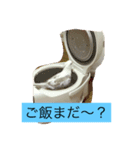 オカメインコ レイとミルク（個別スタンプ：3）