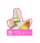 オカメインコ レイとミルク（個別スタンプ：8）