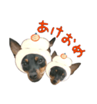 ミニピン とまと＆ぽてと お祝い編（個別スタンプ：5）