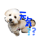 りっちともっち（個別スタンプ：5）