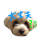 りっちともっち（個別スタンプ：6）