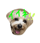 りっちともっち（個別スタンプ：8）