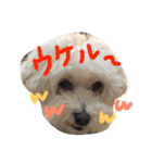 りっちともっち（個別スタンプ：9）