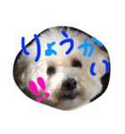 りっちともっち（個別スタンプ：11）