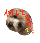 りっちともっち（個別スタンプ：12）