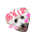 りっちともっち（個別スタンプ：13）