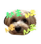 りっちともっち（個別スタンプ：14）