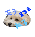 りっちともっち（個別スタンプ：19）