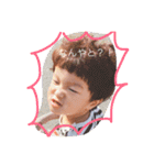 SHHstam 我が家の三兄弟（個別スタンプ：31）