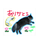 ドラとノビ（個別スタンプ：2）
