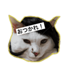 ドラとノビ（個別スタンプ：3）