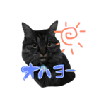 ドラとノビ（個別スタンプ：4）