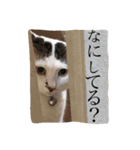 ドラとノビ（個別スタンプ：7）