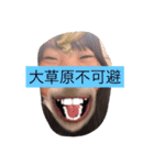Net one fold is usable（個別スタンプ：7）
