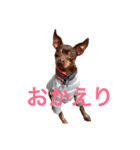 NiCop（個別スタンプ：2）