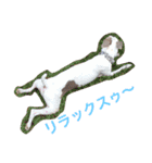 NiCop（個別スタンプ：4）
