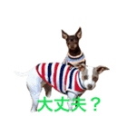 NiCop（個別スタンプ：13）