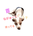 NiCop（個別スタンプ：15）