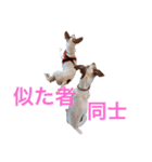 NiCop（個別スタンプ：27）