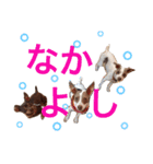 NiCop（個別スタンプ：28）