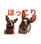 NiCop（個別スタンプ：29）