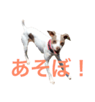 NiCop（個別スタンプ：34）