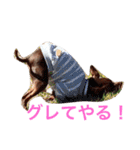 NiCop（個別スタンプ：39）