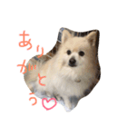 やぁさん（個別スタンプ：3）