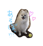 やぁさん（個別スタンプ：4）