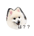 やぁさん（個別スタンプ：7）